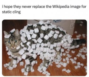 480353503_955308040091210_6598790514497112394_n~2.jpg