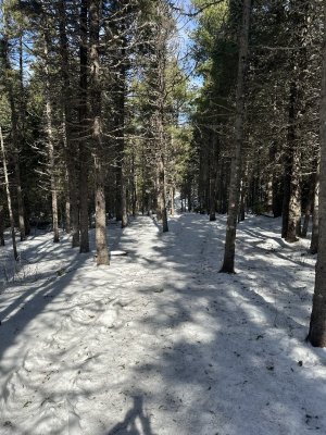 IMG_7720.jpeg