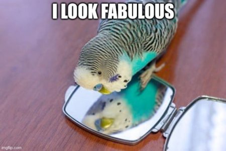 Vanity @.jpg