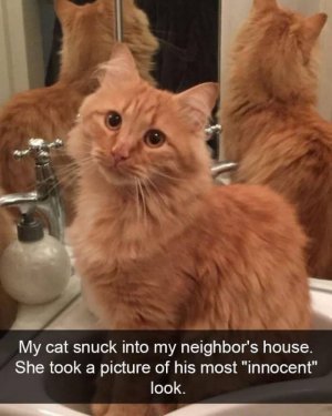 FB_IMG_1740557905356.jpg