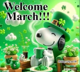 FB_IMG_1740859349208.jpg