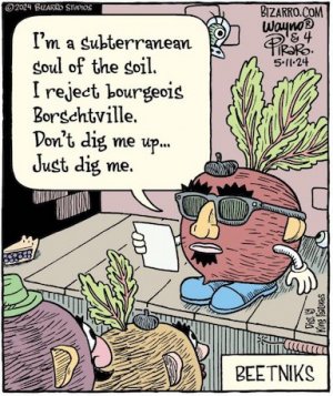 beetnik Poet.jpg
