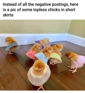 IMG_0634.jpeg