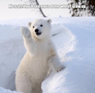 polar.jpg