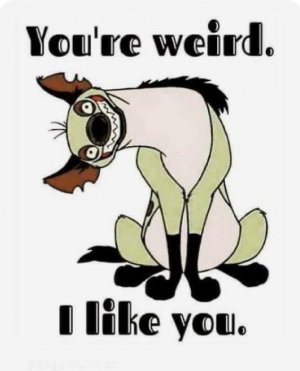 061824weird.jpg