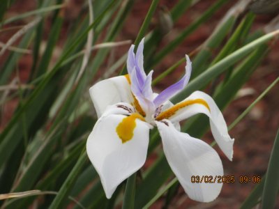 IMG_7926.JPG