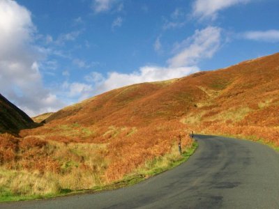 IMG_1111.jpeg IMG_1111.jpeg