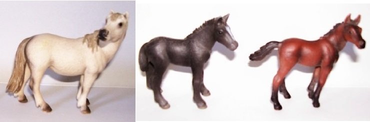 horses.jpg