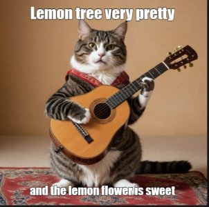 cats6.jpg