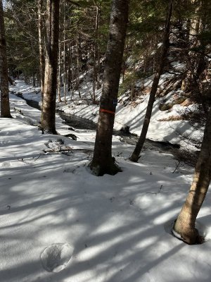 IMG_7734.jpeg