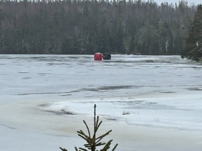 IMG_7722.jpeg IMG_7722.jpeg