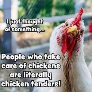 FB_IMG_1740948155775.jpg