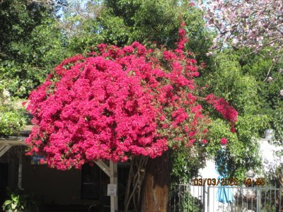 IMG_7986.JPG