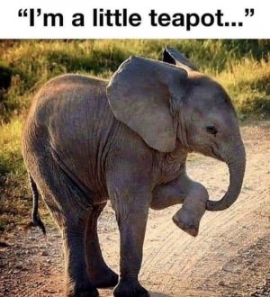 FB_IMG_1740093142985.jpg