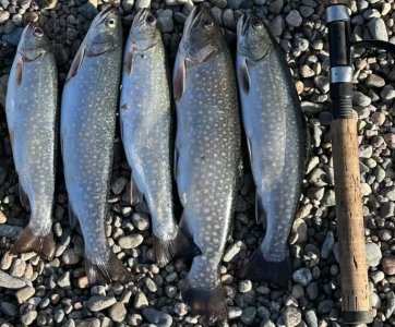 IMG_7028.jpeg IMG_7028.jpeg