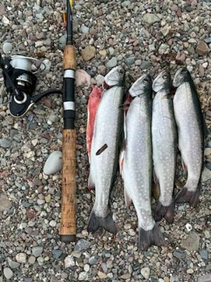 IMG_6623.jpeg IMG_6623.jpeg