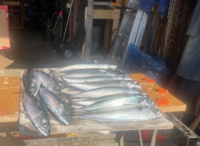 IMG_0187.jpeg IMG_0187.jpeg