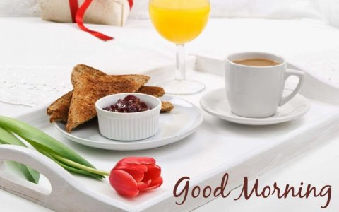 good-morning-pictures-bfqvopc1r08opm69.jpg