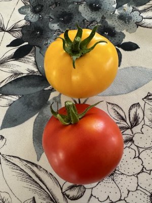 IMG_5491.jpeg IMG_5491.jpeg