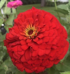 IMG_0545.jpeg