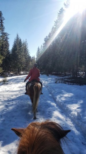 On the trail, March 3.jpeg