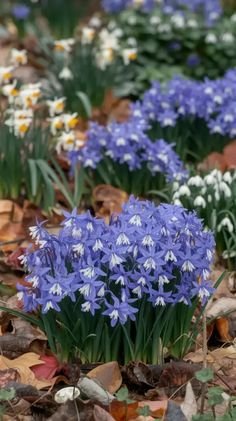 43937c3edc69dcdbeda36b3d5cda10d7.jpg 43937c3edc69dcdbeda36b3d5cda10d7.jpg