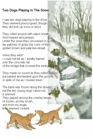 2dogs.jpg