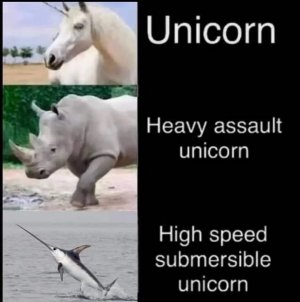 animal5.jpg