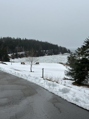 IMG_7770.jpeg