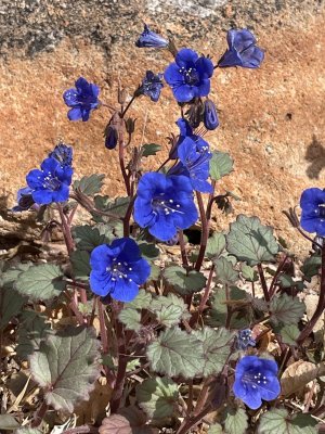 IMG_4544.jpeg