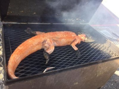 bbqgATOR.jpg