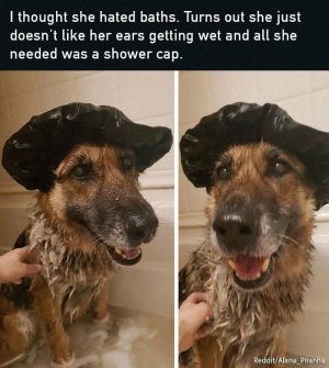 FB_IMG_1740859370801.jpg