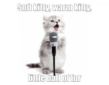 cats2.jpg