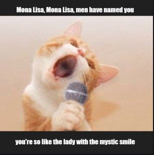 cats1.jpg