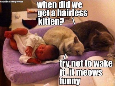 IMG_0678.jpeg