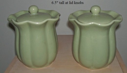 tulip vases1.jpg