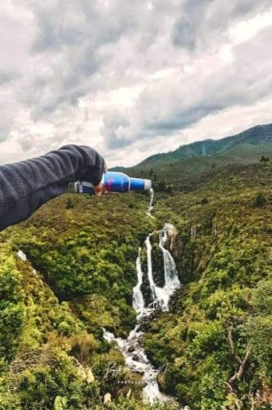 nature.jpg