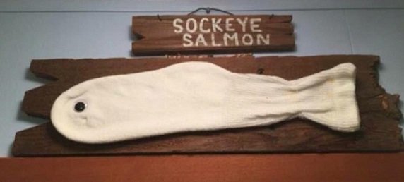 sockeye salmon.jpg
