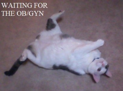 belly-up.jpg
