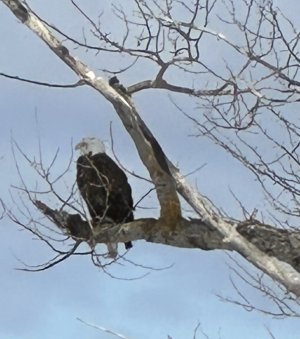 IMG_7753.jpeg