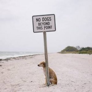 IMG_0252.jpeg