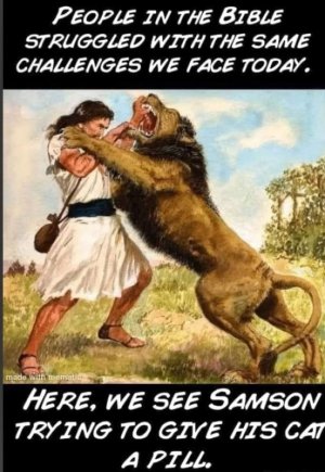 lionpill.jpg