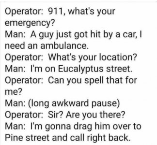 1741496540912.jpeg