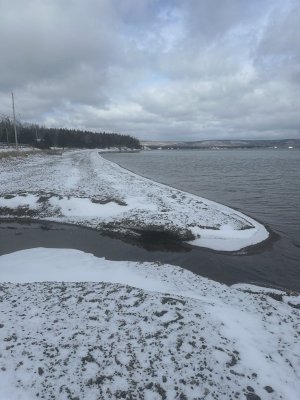 IMG_7820.jpeg