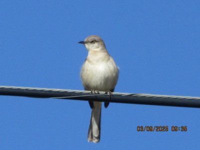 IMG_8106.JPG