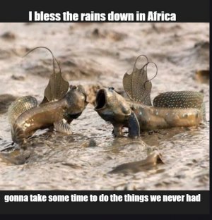 mud.jpg