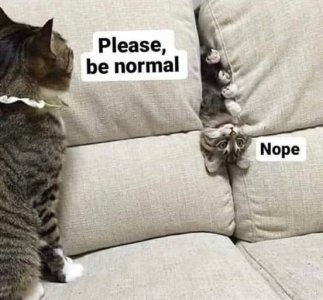 1000010107.jpg