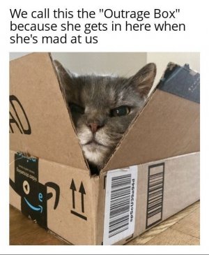 1000010060.jpg