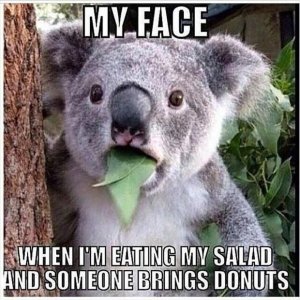 food.jpg