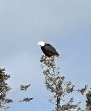IMG_7855.jpeg